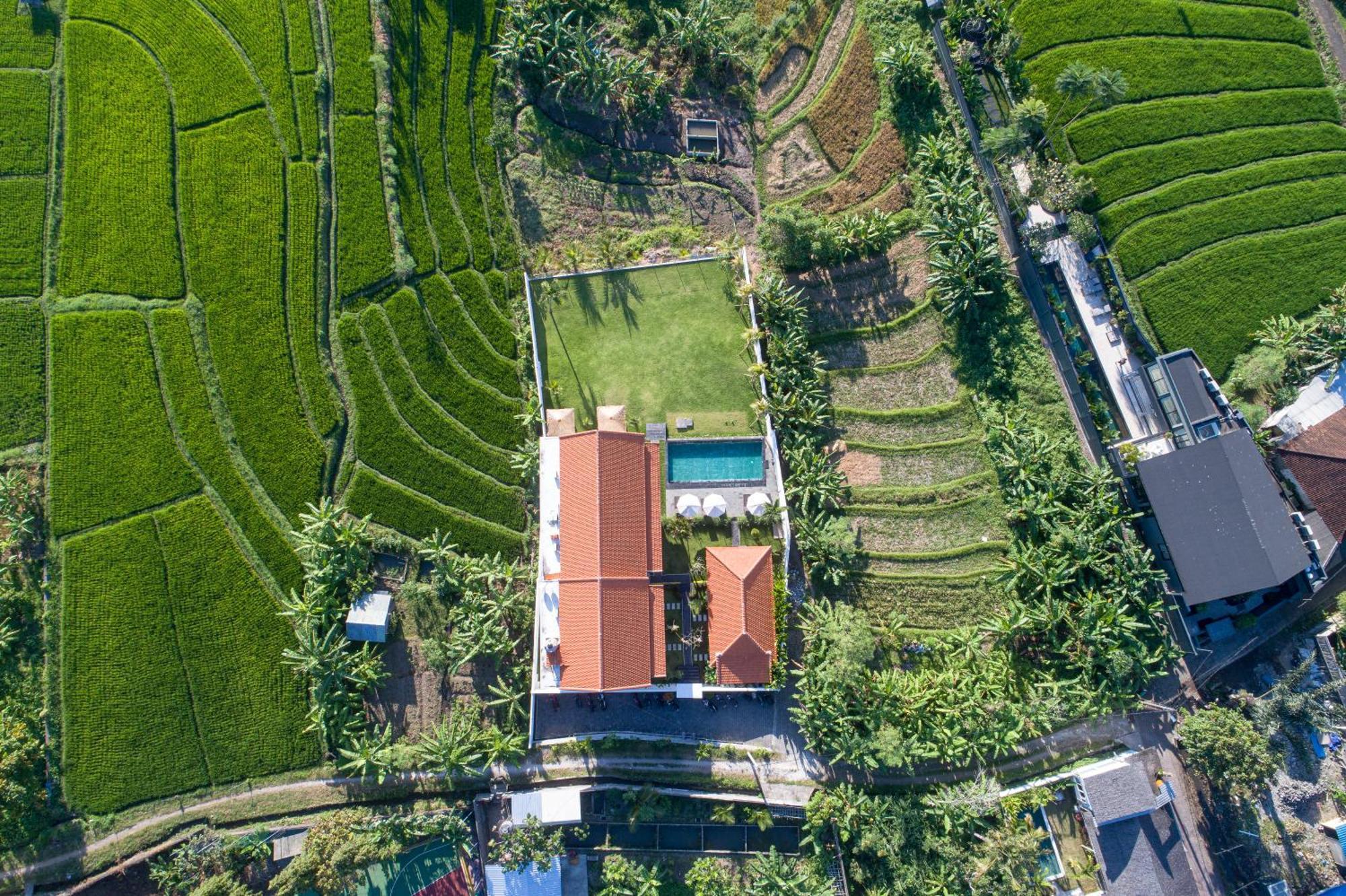 Eden Guest House Canggu Екстер'єр фото